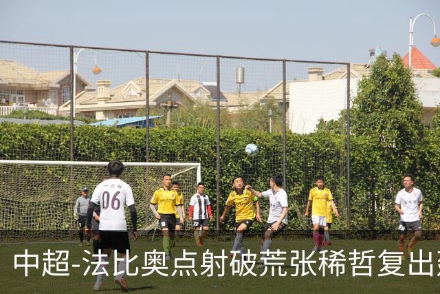 中超-法比奥点射破荒张稀哲复出建功 国安2-1浙江队6轮不败