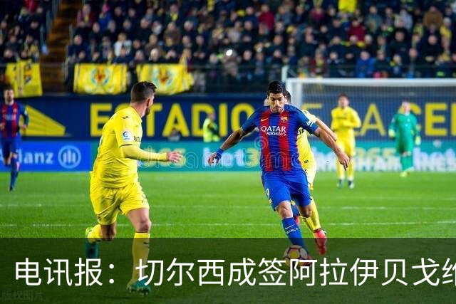 电讯报：切尔西成签阿拉伊贝戈维奇最大热门，球员身价3000万镑