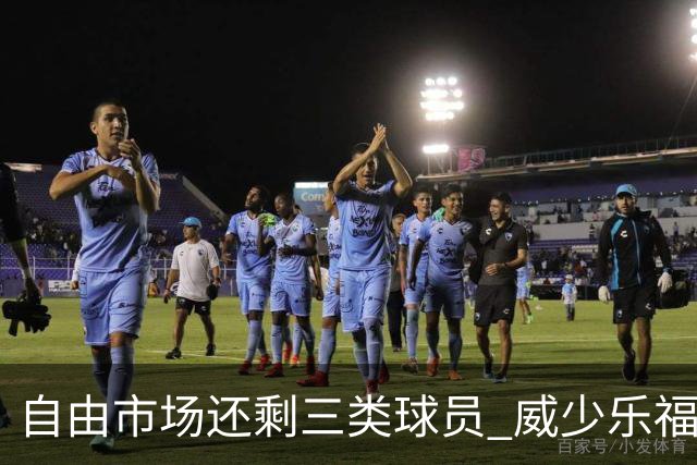 自由市场还剩三类球员 威少乐福领衔失业大军？